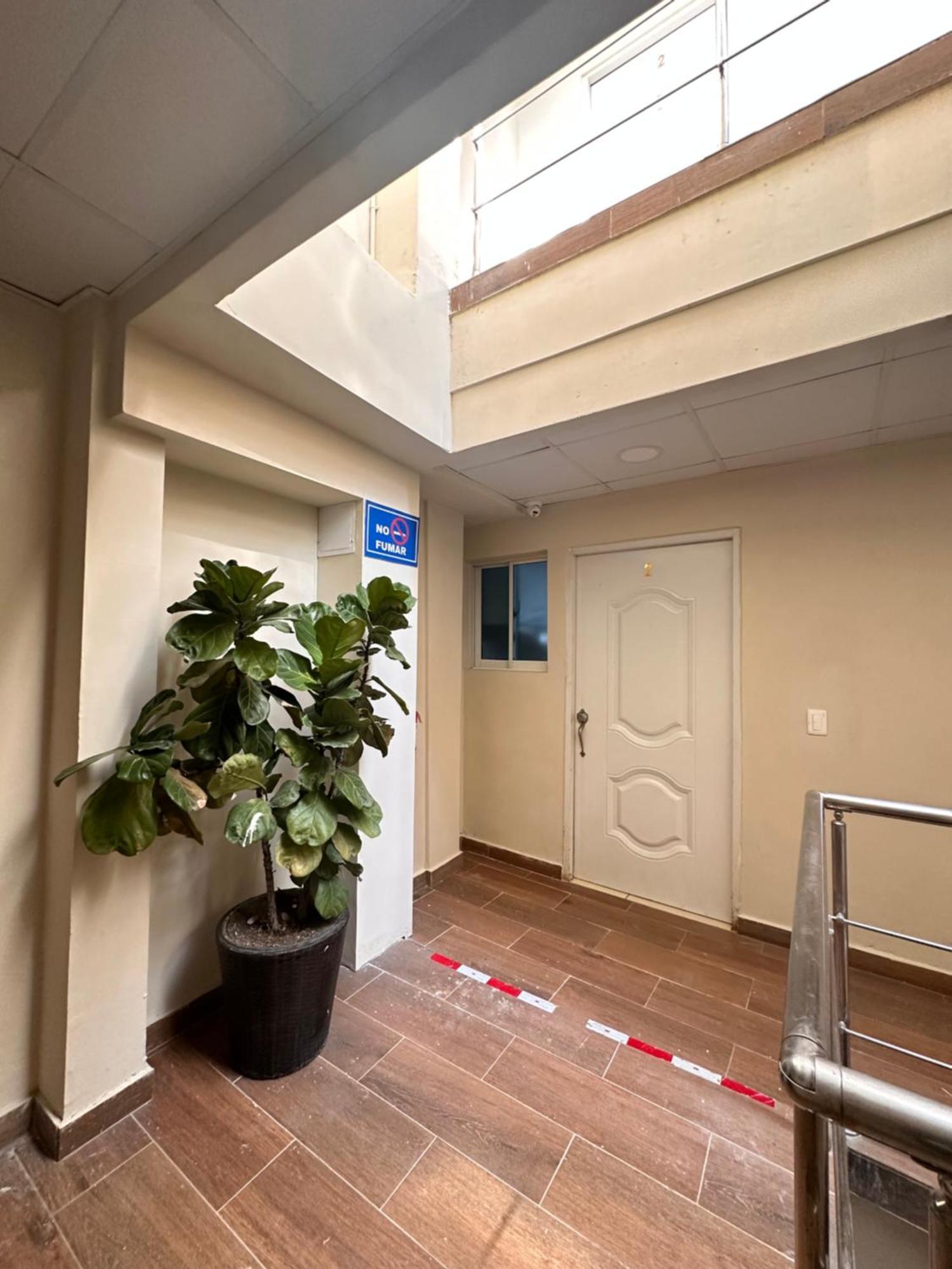 Apartamentos Roman Santo Domingo Dış mekan fotoğraf