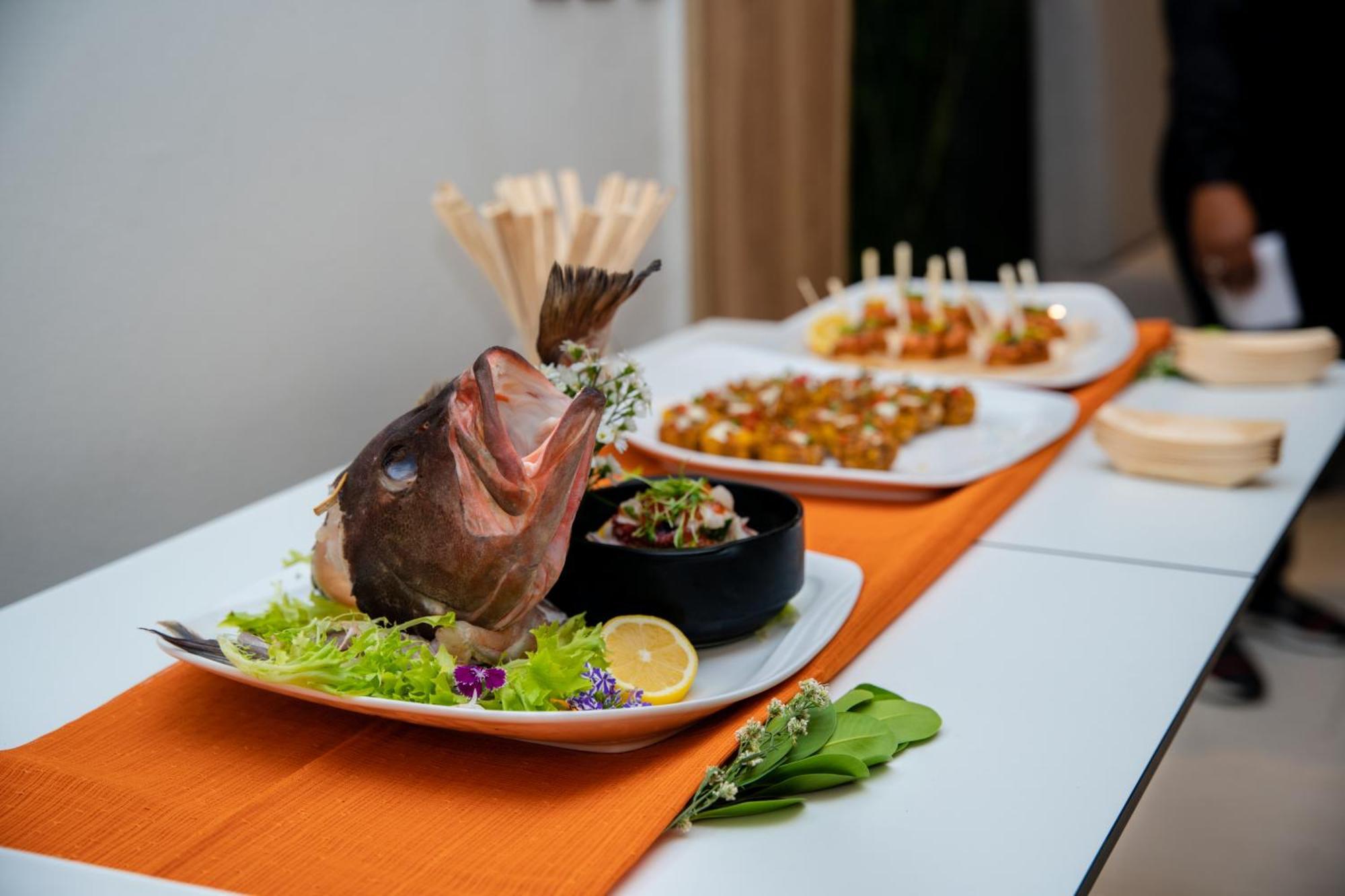 Apartamentos Roman Santo Domingo Dış mekan fotoğraf